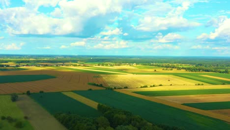 abstract geometric shapes of agricultural parcels of different crops in yellow and green colors. aerial view shoot from drone directly above field