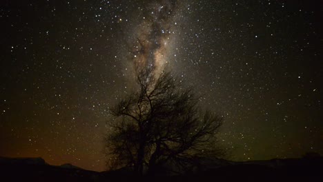 astrotimelapse of the milky way above a tree, in patagonia, chile, on a clear night