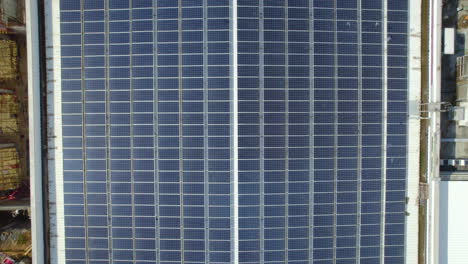 paneles solares en el techo de una gran fábrica en israel - el país está tratando de alcanzar la meta del 20% de energía renovable para 2025