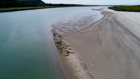 una toma de avión no tripulado de un gran grupo de focas salvajes en una playa frente a la costa de oregón