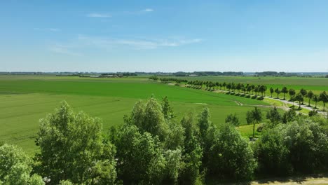 beautiful green summer landscape in netherlands near zeeuws vlaanderen, province of zeeland