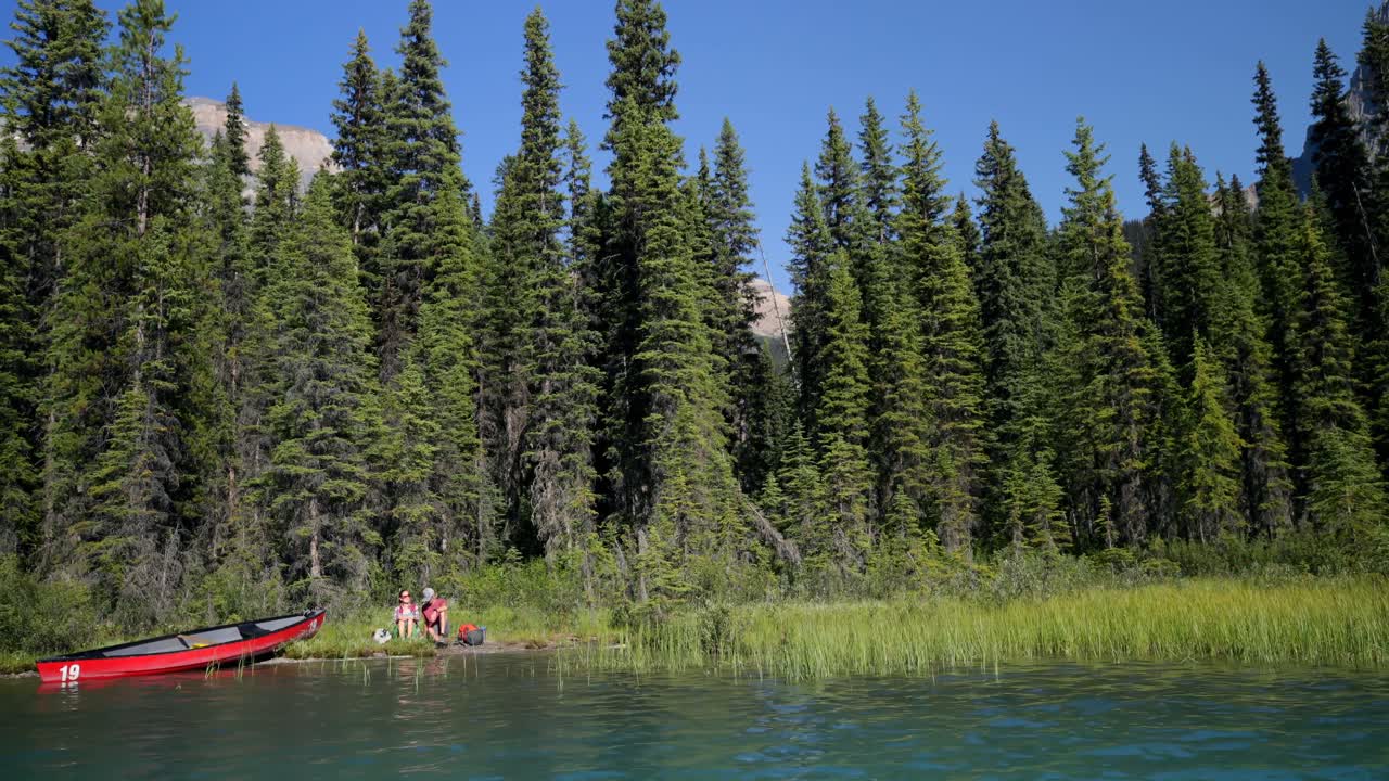 пара сидит возле реки в лесу в солнечный день 4k