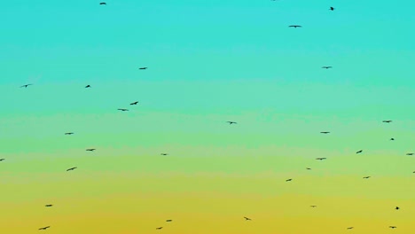 bandada de pájaros migratorios volando en el crepúsculo cielo vívido de colores