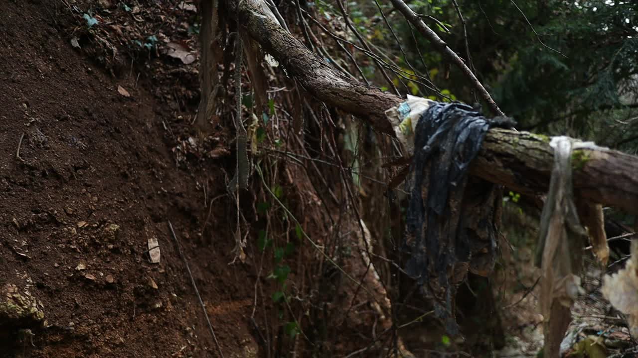basura vieja colgando de un árbol contamina la naturaleza, primer plano