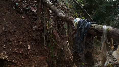 basura vieja colgando de un árbol contamina la naturaleza, primer plano