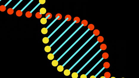 ilustración de doble hélice de adn