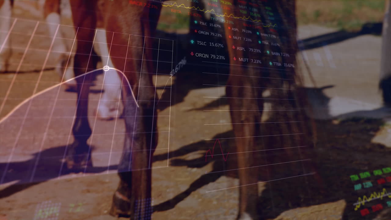 Horse hooves walking on sunlit gravel while showing animated financial charts with colored arrows