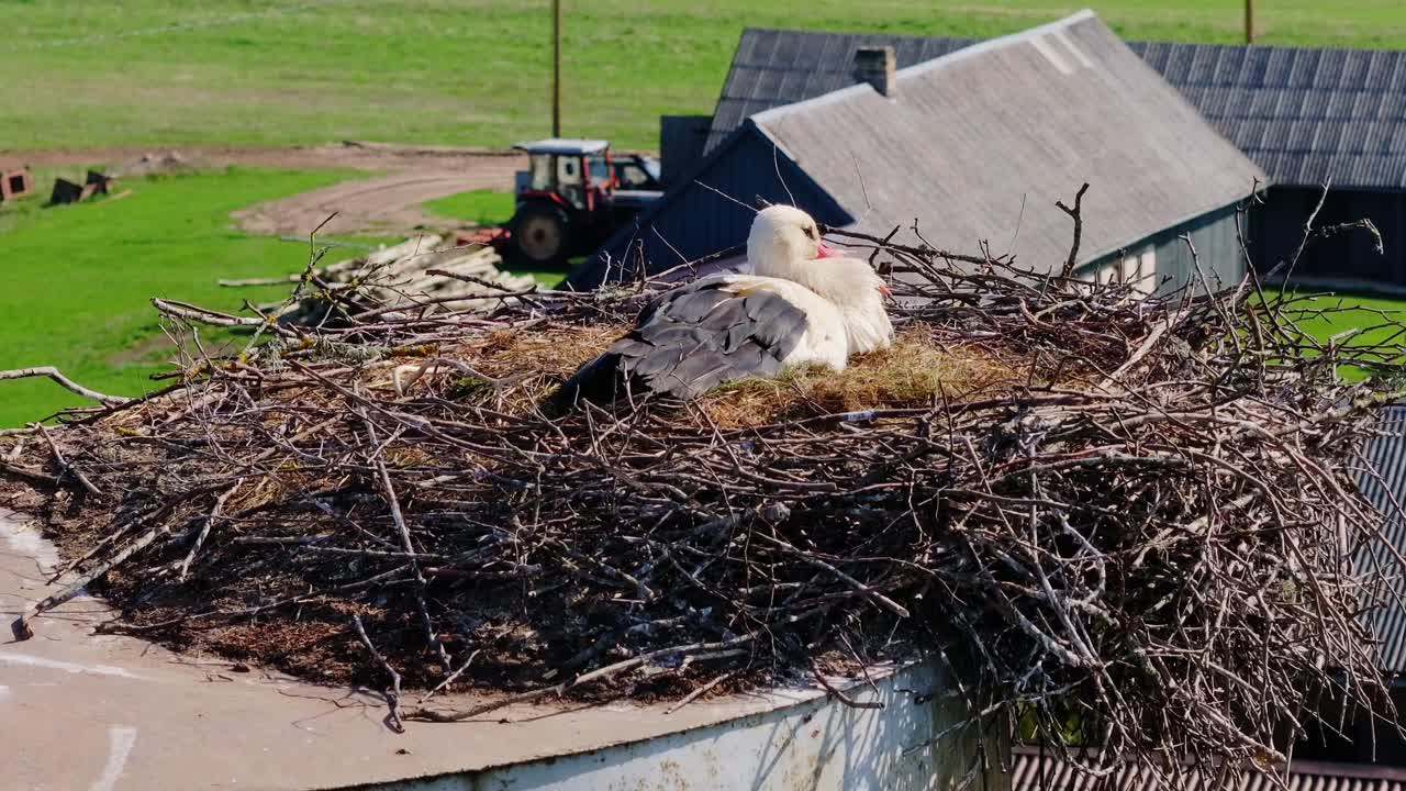 Stork warming eggs on top of water tower with tractors and fields around