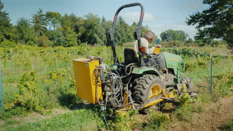 un agricultor trabaja en un pequeño tractor arranca malas hierbas cerca del viñedo