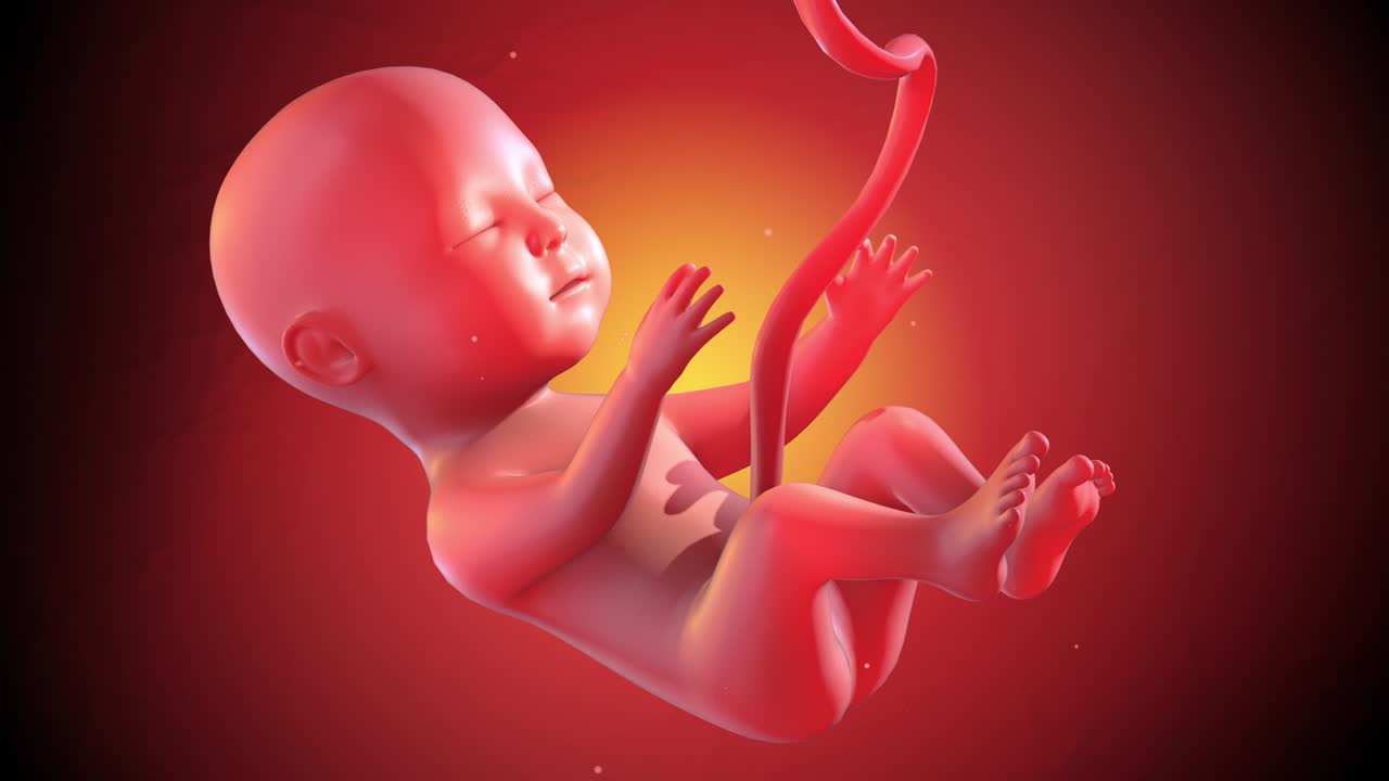 Feto umano pacifico che dorme e sogna, poi scalcia