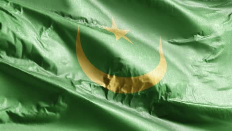 mauritania textile flag waving on the wind loop. mauritanian banner swaying on the breeze. fabric textile tissue. full filling background. 10 seconds loop.