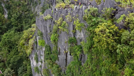 Canopy-walk-and-dream-Catcher-viewpoint-on-top-of-jagged-limestone-karst-outcrops-in-El-Nido