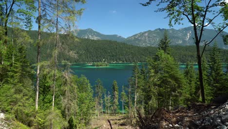 hermoso lago eibsee en baviera, con pequeñas islas de agua turquesa y bosque alrededor