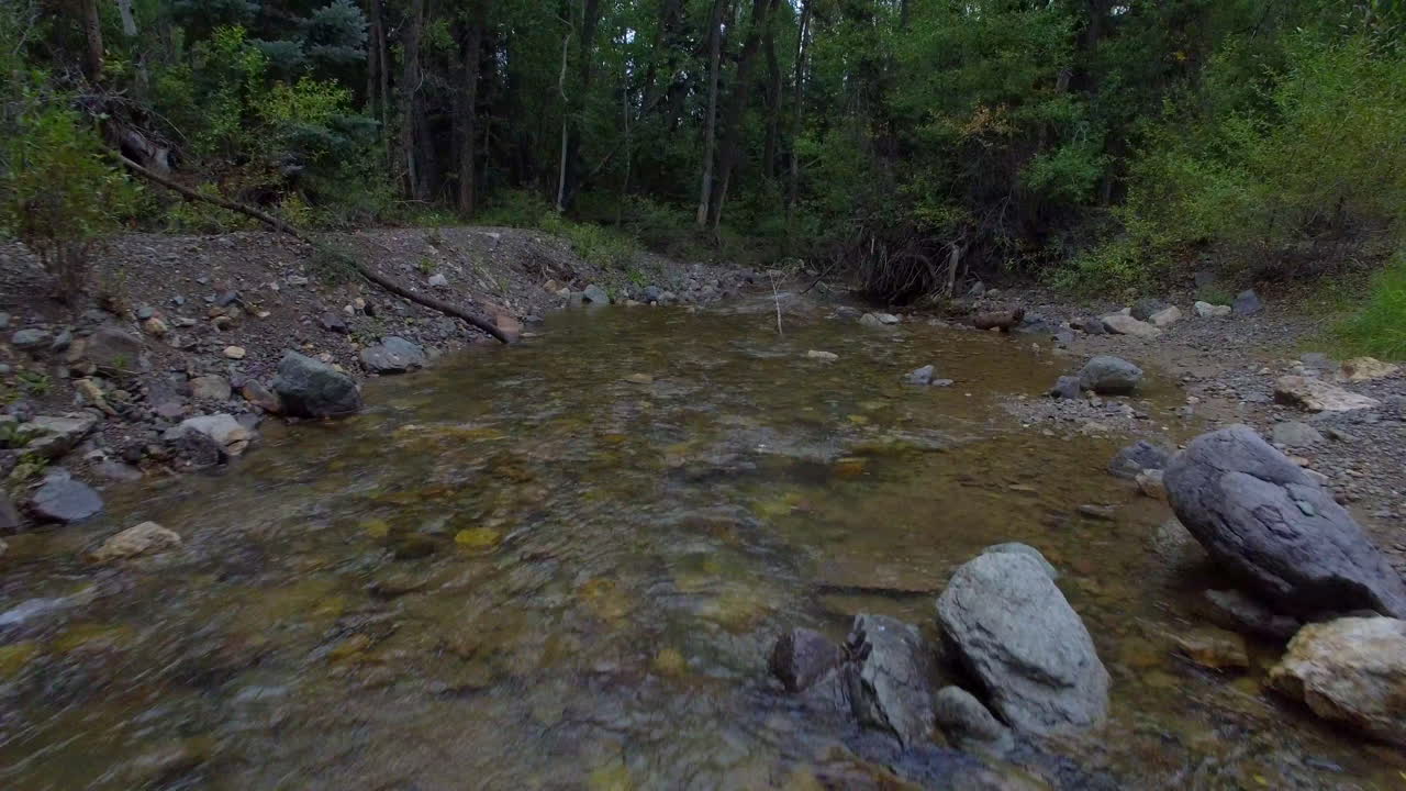 Reverse low flight drone shot over a peaceful flowing creek surrounded by green trees