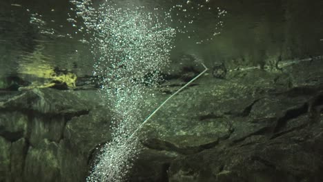 slow motion air bubbles rise up to surface in clear water. light illuminates bubbles. bubbles penetrate water surface, underwater air bubbles in zoo aquarium. light shines on underwater rocks, stones