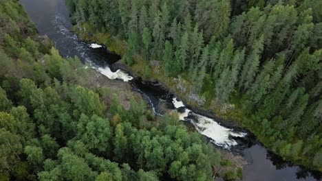 Imágenes-Aéreas-De-Un-Kivach-De-Cascada-De-Carelia,-Toma-De-Revelación-Final,-Flujo-De-Agua-Lleno-De-Bosque-Sobre-La-Parte-Superior,-Hermosa-Naturaleza,-Espuma-En-El-Agua