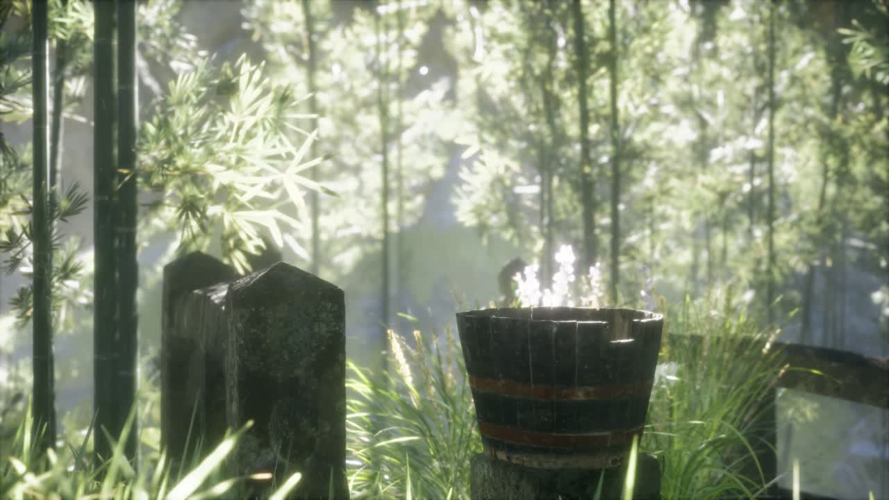 일본 대나무 숲 과 녹색 초원 잔디 와 자연 빛