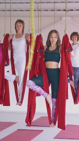 flexible ladies group practices tree oriental fly yoga asana standing on one leg and holding special hammocks
