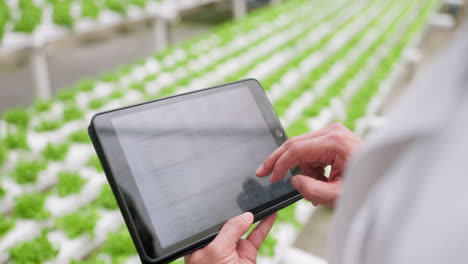 Greenhouse,-tablet-and-screen-with-person