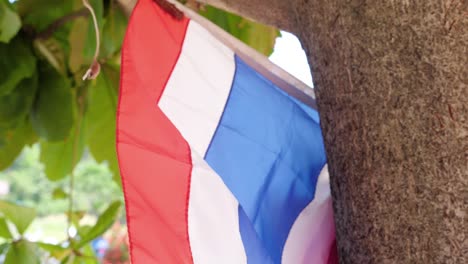 Flag-of-Thailand-hanging-in-tree-outside---ultra-slow-motion