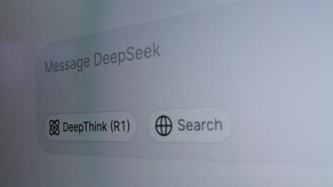 deepseek search interface