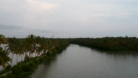 beautiful aerial shot of a backwater canal, sunset,coconut trees ,water transportation,clouds,tree lines