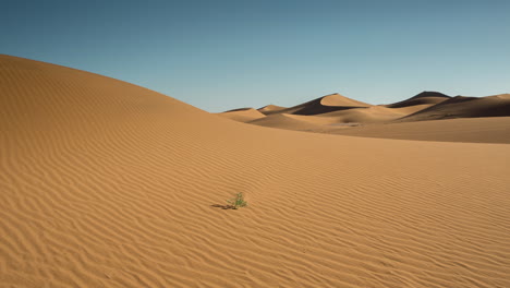 merzouga in the sahara desert in morocco