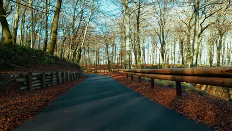 Wooden Guard Rail Road Barrier in the Mountains