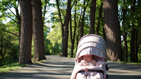 baby sleeping in stroller in a park