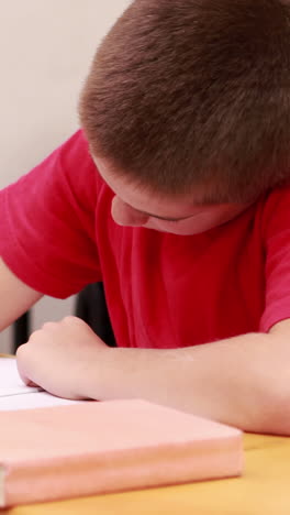 alumnos que trabajan en la escuela