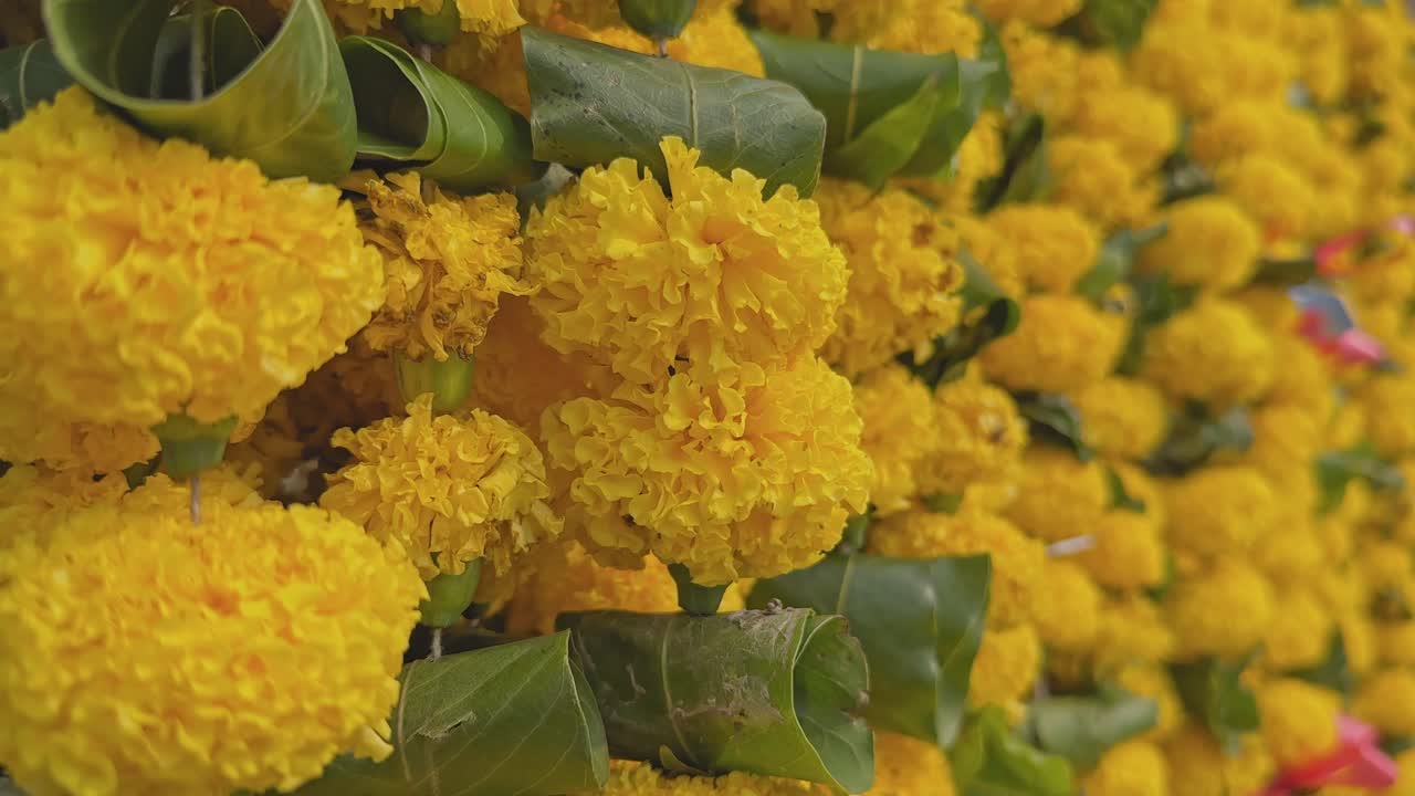 Ghirlande di calendule giallo brillante appese in un negozio durante il periodo del festival, acquisite con una profondità di campo ridotta che ammorbidisce lo sfondo ed evidenzia la ricca texture floreale