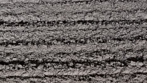 a closeup of the soil at the dirt race track, commonly utilised for horse racing events worldwide