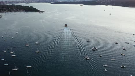 Sydney---Watsons-Bay-Wharf-Hovering