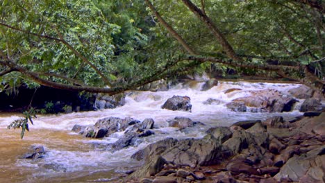 rivers and surface water in brazil are at low levels from drought caused by global warming