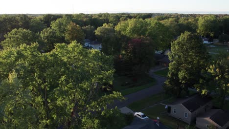 aerial drone rotating shot over town houses surrounded by dense vegetation on an autumnal evening