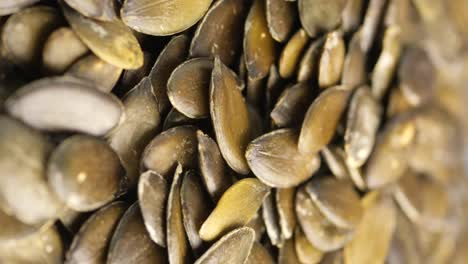 roasted pumpkin seeds