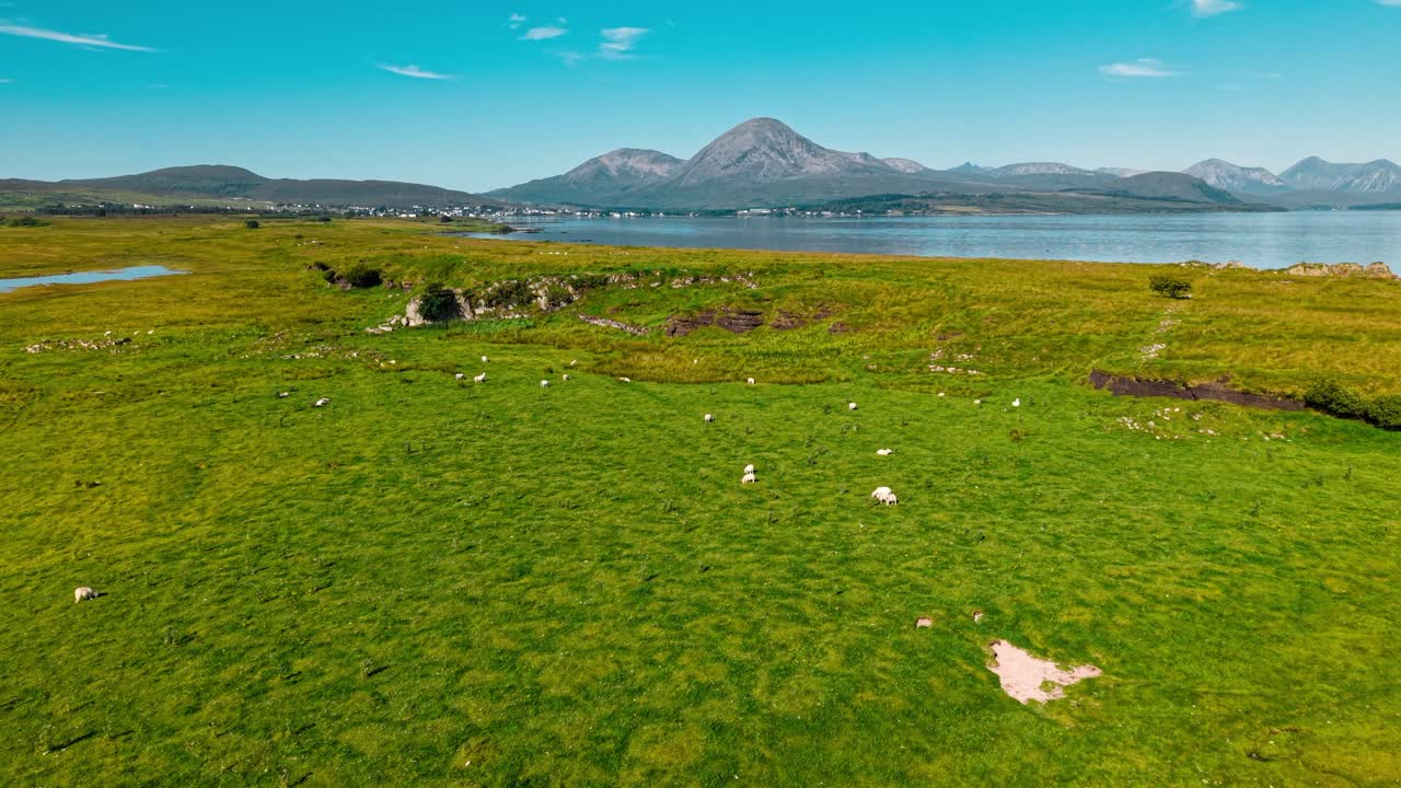 Scenic landscape with sheep grazing in a green field
