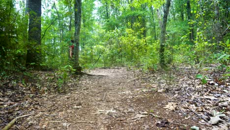 Una-Vista-Trasera-De-Un-Joven-Excursionista-Caminando-Por-Virginia-En-Una-Hermosa-Mañana,-Bosque-De-Otoño-Con-árboles