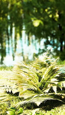 close-up of a lush fern plant