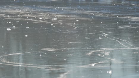 a sunlit frozen pond displays tracks from ice skaters, bordered by leafless trees and banks of withered grass