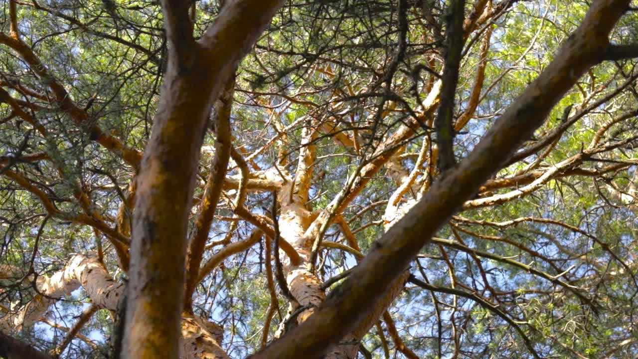 3의 개구리 관점