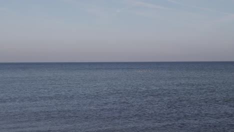 Ein-Schwarm-Möwen-Fliegt-über-Dem-Blauen-Wasser-Der-Ostsee