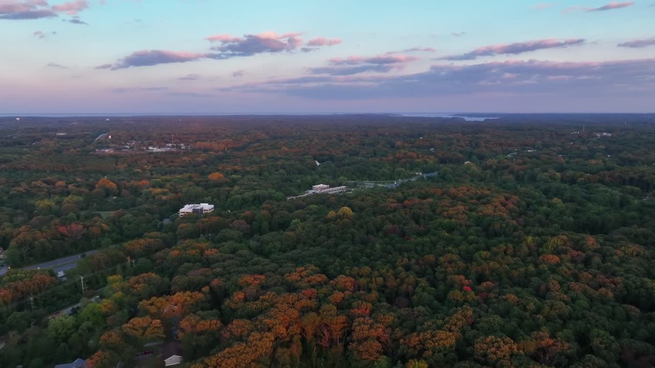 volando sobre densos matorrales con follaje otoñal en el campo en maryland, estados unidos