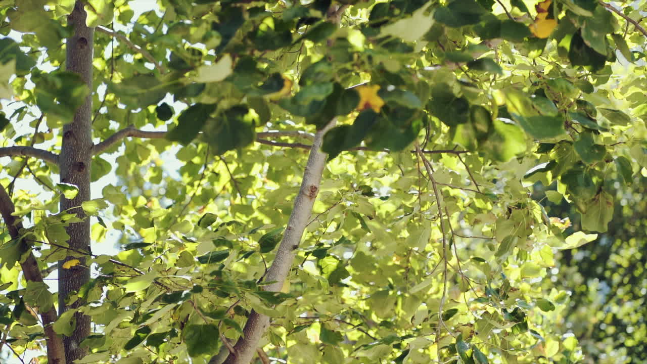 아름다운 날에 마을의 작은 정원