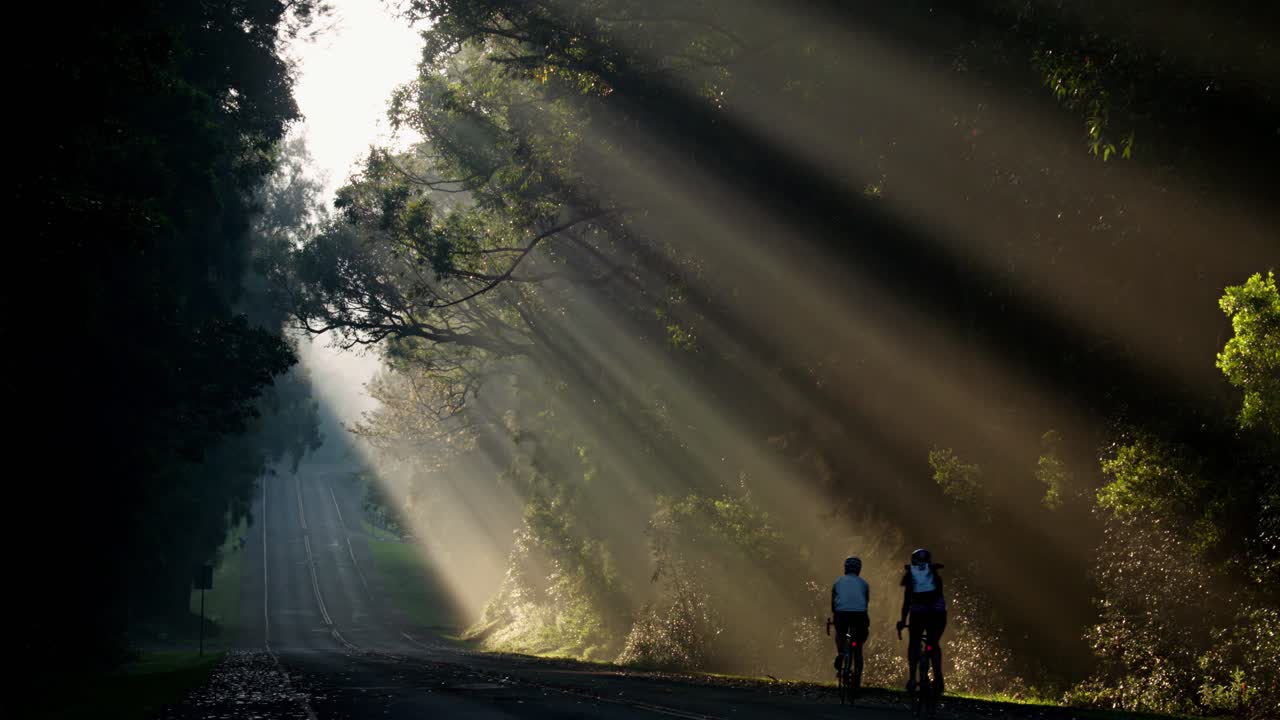 los rayos del sol brillan maravillosamente en una carretera o carretera 1