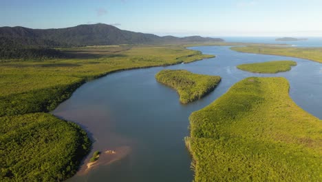 bela paisagem da selva da floresta tropical do rio, vista aérea 4k