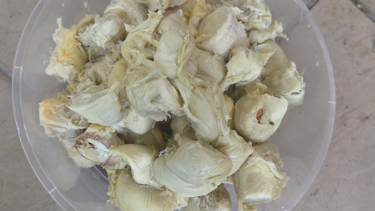 La polpa fresca di durian viene accuratamente posizionata in un contenitore di plastica rotondo per la conservazione. Congelare questo delizioso frutto tropicale assicura che rimanga conservato e duri a lungo.