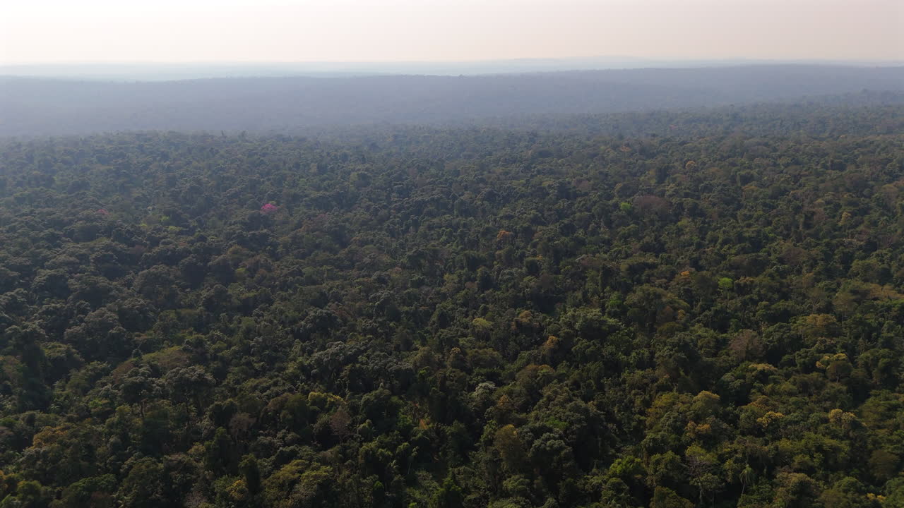Drone shot of vast lush Misiones jungle in Argentina, ecosystem conservation