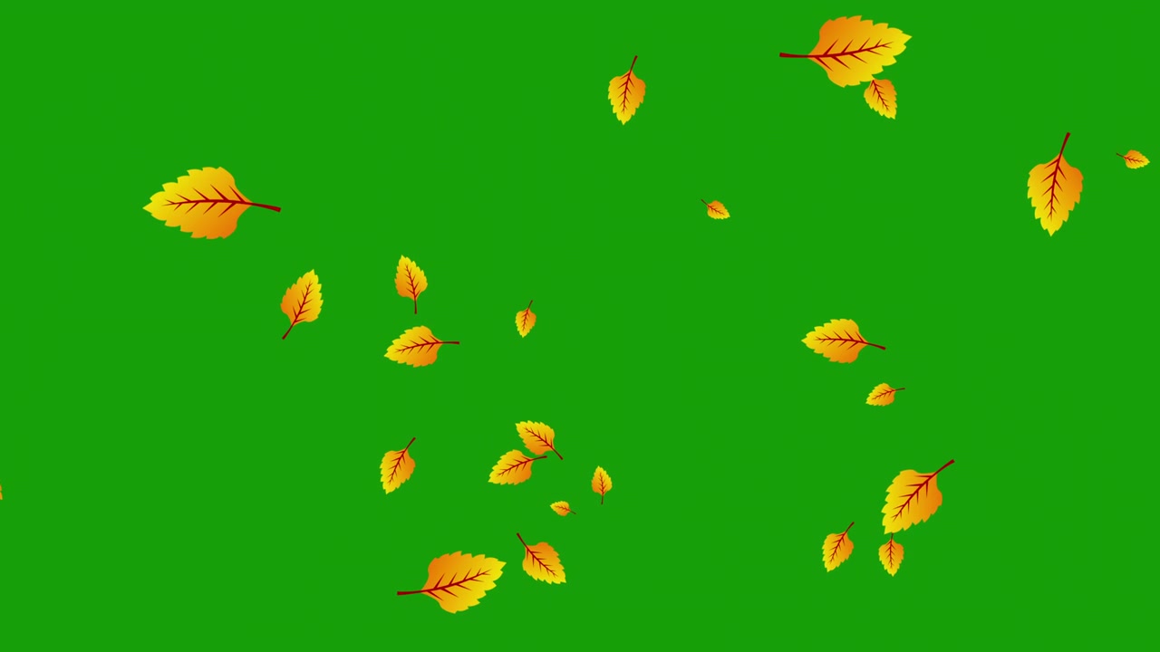 Foglie autunnali che cadono su sfondo green screen