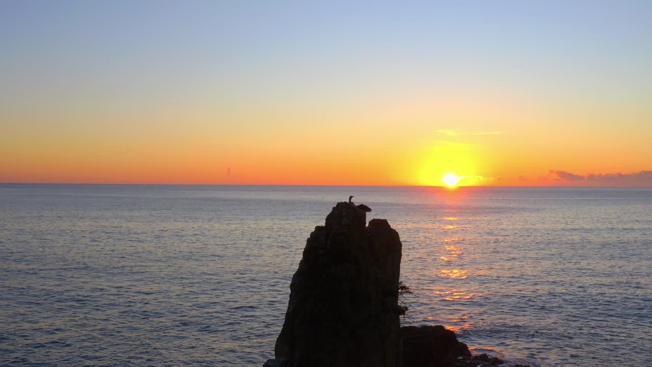 pájaro en las rocas de la catedral con vistas al atardecer y al océano en kiama, nsw, australia